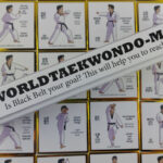 world taekwondo memory card 5